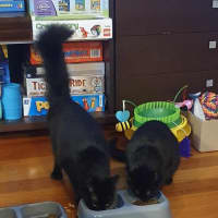 Photo of Thunder And Storm