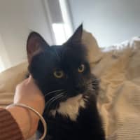 Photo of Billy
