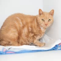 Photo of Hugo