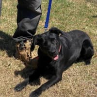 Photo of Rosie Lozano