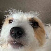 Photo of Russell Russelton