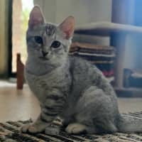 Photo of Osha & Rosemary