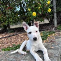 Photo of Moira