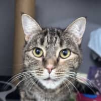 Photo of Hermes