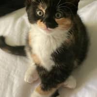 Photo of Frances