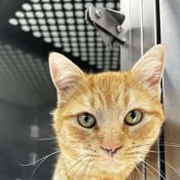 Photo of Ernie