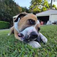 Photo of Malcolm
