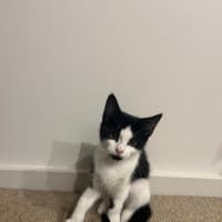 Photo of Olivia Benson & Elliot 