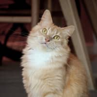 Photo of Sally & Denny