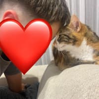Photo of Mumma Cat