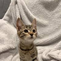 Photo of Mabel