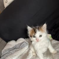 Photo of Milly