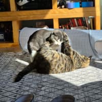 Photo of Stu / Sophie