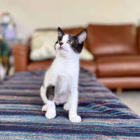 Photo of Marra   Meet Me At Vets On Parker