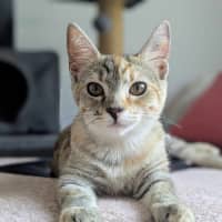 Photo of Willow & Dream 