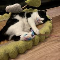 Photo of Esme