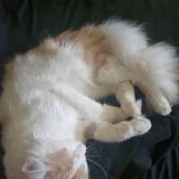 Photo of Dj