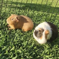 Photo of Zach & Bubbles