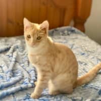 Photo of Sparkles