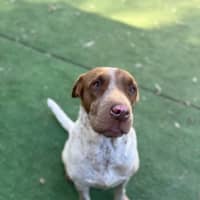 Photo of Ethel 