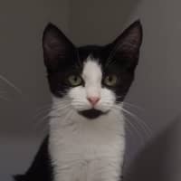 Photo of Tsuki