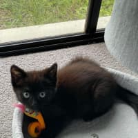 Photo of Vader