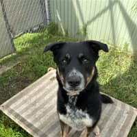 Photo of Leroy Jenkins