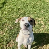 Photo of Addie