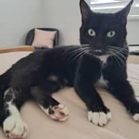 Photo of Sundae