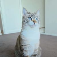 Photo of Bliss
