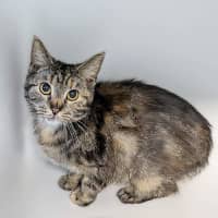 Photo of Bilbo