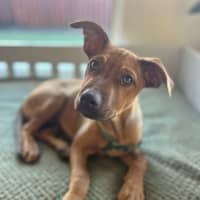 Photo of Salsa