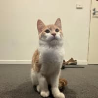 Photo of Bingo