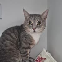 Photo of David (9185)