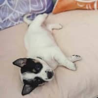 Photo of Miss Pepper And The Peppercorns