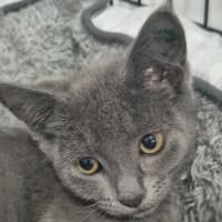 Photo of Kiddy Poppins