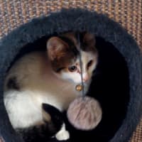 Photo of Kimmie 🌺