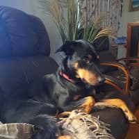 Photo of Leroy