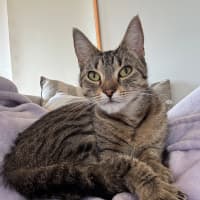 Photo of Rosemary