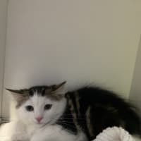 Photo of Billy