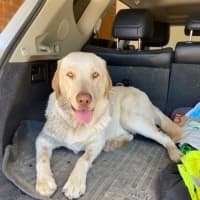 Photo of Max