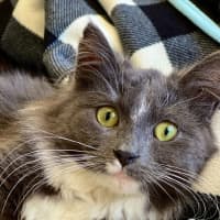 Photo of Jayla
