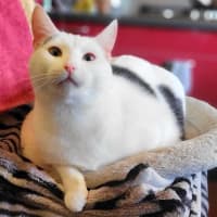 Photo of 9761   Acadia