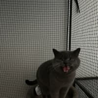 Photo of Buster 