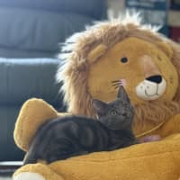 Photo of Titten Meet Me@Petstock Mornington Store Nepean Hwy