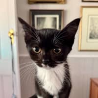 Photo of Baby & Belle