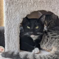 Photo of Millie & Zoe