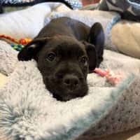 Photo of Betty