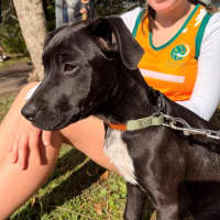 Photo of Coco