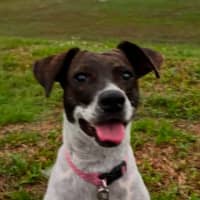 Photo of Billie Jean